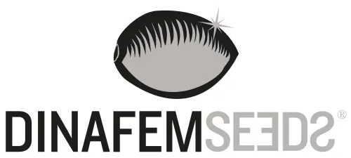 Dinafem Seeds